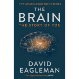 The Brain - David Eagleman