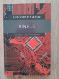 Antonio Damasio SINELE ed humanitas