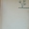 Mic atlas de plante din flora RSR I. Teodor 1968 ( Planse color, Atlas)