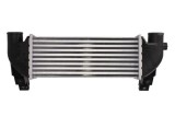 Radiator intercooler FORD TRANSIT CONNECT (P65_, P70_, P80_) (2002 - Prezent) THERMOTEC DAG031TT