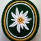 M.118 GERMANIA EMBLEMA ECUSON PATCH MILITAR BUNDESWEHR Panzerbrigade 24