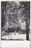 bnk cp Caciulata - Vedere din parc - circulata