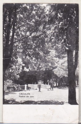 bnk cp Caciulata - Vedere din parc - circulata foto