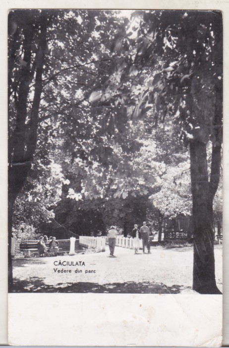 bnk cp Caciulata - Vedere din parc - circulata