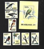 nicaragua pasari mnh