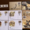 libia - serie 4 timbre MNH, 4 FDC, 4 maxime, fauna wwf