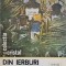 DIN IERBURI S-AU NASCUT MEDICAMENTELE-EMANOIL GRIGORESCU-267549