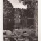 RF36 -Carte Postala- Craiova, vedere din parc, circulata 1959
