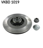 Disc frana spate SKF VKBD1019