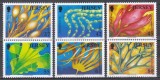 Jersey 2009 - Lumea Marină - Alge, MNH