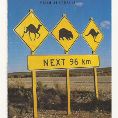 AU1 - Carte Postala - AUSTRALIA - Greetings, Circulata