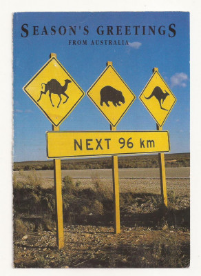 AU1 - Carte Postala - AUSTRALIA - Greetings, Circulata foto