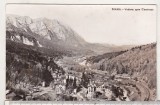 bnk cp Sinaia - Vedere spre Caraiman - necirculata