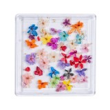 Cumpara ieftin Flori Uscate Unghii LUXORISE - Rainbow Flowers
