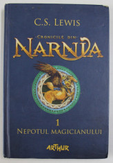 CRONICILE DIN NARNIA , NEPOTUL MAGICIANULUI de C.S. LEWIS , 2015 foto