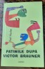 Patimile după Victor Brauner, Emil Nicolae
