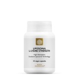 Liposomal L-Lysine Strength, 45 capsule, Novo Biomedics