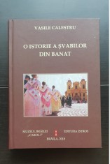 O istorie a șvabilor din Banat - Vasile Calestru