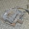 Etrier de fr&acirc;nă dreapta spate NISSAN QASHQAI II J11, J11_ 2014 11233945