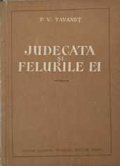 JUDECATA SI FELURILE EI-P.V. TAVANET foto