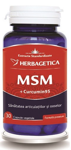 MSM +CURCUMIN95 30CPS VEGETALE