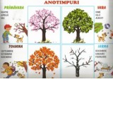 Bizant. Marire si decadere