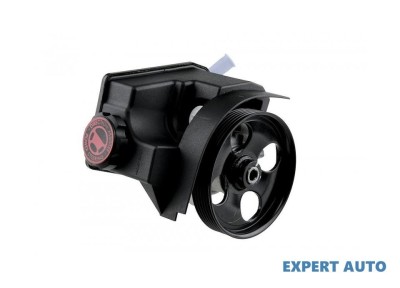 Pompa servo Citroen Berlingo (2003-2007) foto