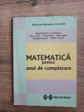 Matematica pentru anul de completare- Mihai Postolache, Mihai Craciun