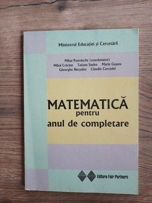 Matematica pentru anul de completare- Mihai Postolache, Mihai Craciun foto