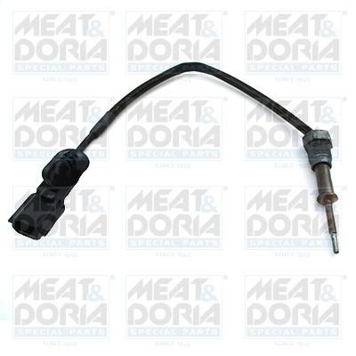 MEAT &amp;amp; DORIA 12359 Senzor, temperatura gaze evacuare foto