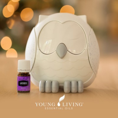 Aromatizator Snowy the Owl foto