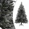 Foto  - 2