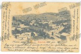 4834 - ANINA, Caras-Severin, Panorama, Litho, Romania - old postcard - used - 1900