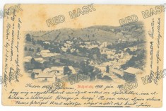 4834 - ANINA, Caras-Severin, Panorama, Litho, Romania - old postcard - used - 1900
