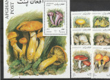 Ciuperci ,Afganistan 2001.