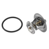 BorgWarner (Wahler) termostat, lichid racire