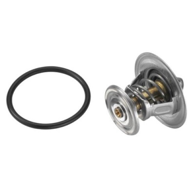 BorgWarner (Wahler) termostat, lichid racire foto