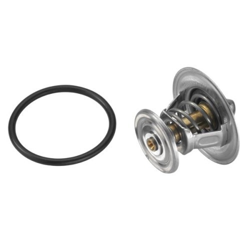 BorgWarner (Wahler) termostat, lichid racire