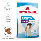 Royal Canin Giant Junior hrana uscata caine junior etapa 2 de crestere, 3.5 kg