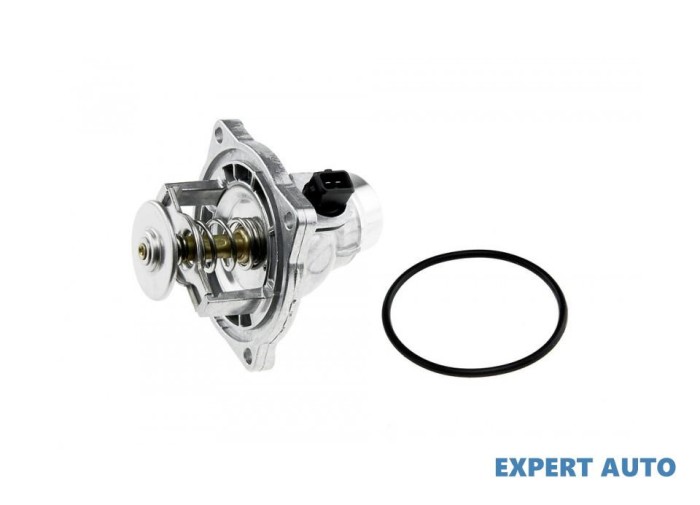 Termostat BMW X5 (1999-2006) [E53] #1