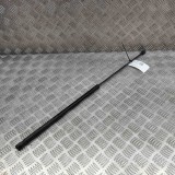 Amortizor capota st&acirc;nga față AUDI A5 Cabrio 8F7 2013 OEM: 8T0823359 21674743