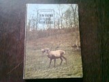DIN FAUNA SI FLORA ROMANIEI - ION SIMIONESCU