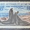 Teritoriul Sudic si Antarctic Francez (TAAF) 1962 Fauna Antarctica, serie MNH, 1v