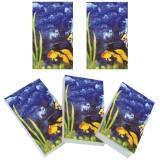 Set 5 Carnete de buzunar Acvatica Soapta Stelelor 5 x 8 cm 100 foi veline 80 g/mp finisaj lucios