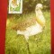 Maxima Fauna - Dropia - Monument al naturii