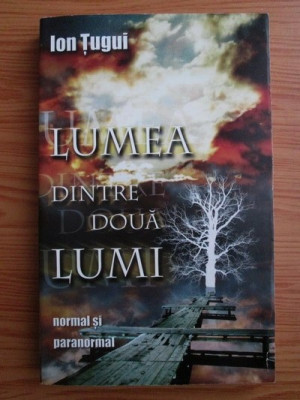 Lumea dintre doua lumi - Ion Tugui foto