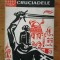 Cruciadele-Ilie Gramada