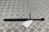 Amortizor capota st&acirc;nga față TESLA MODEL 3 2019 OEM: 1091472-00-B | 31400318