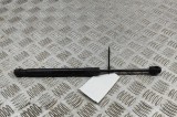 Amortizor capota st&acirc;nga față TESLA MODEL 3 2019 OEM: 1091472-00-B 31400318