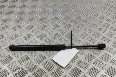 Amortizor capota st&amp;acirc;nga față TESLA MODEL 3 2019 OEM: 1091472-00-B | 31400318 foto